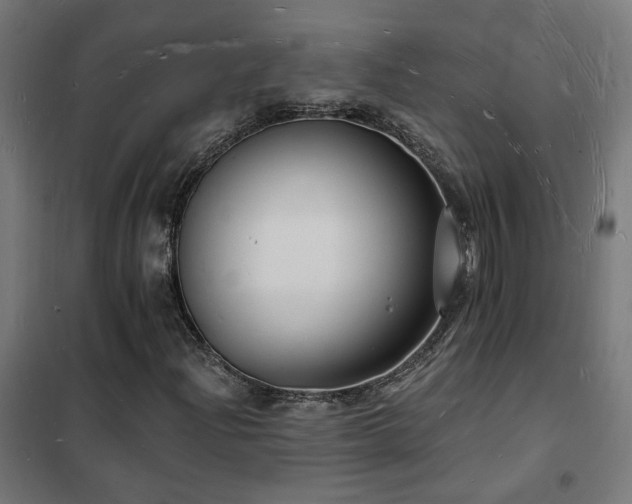 X0000102231204200807251227