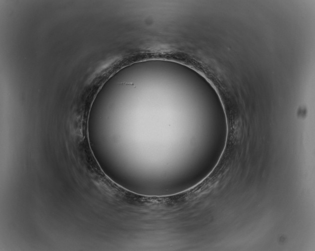 X0000102231205200807251227