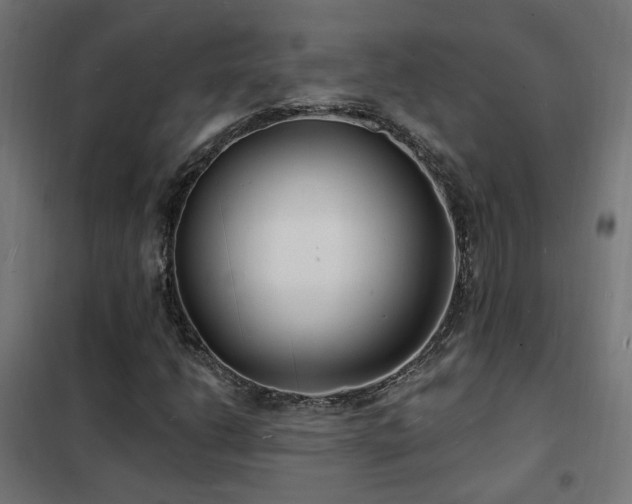 X0000102231206200807251227