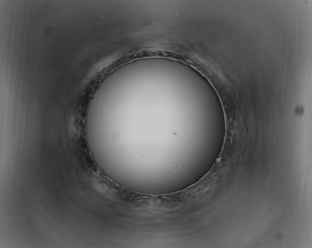 X0000102231207200807251227