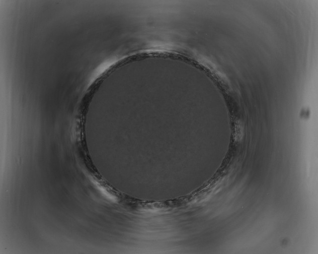X0000102231208200807251227