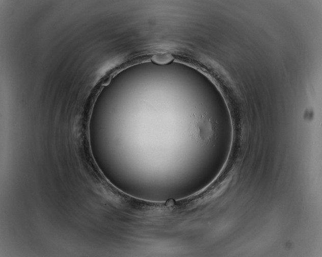 X0000102231210200807251227
