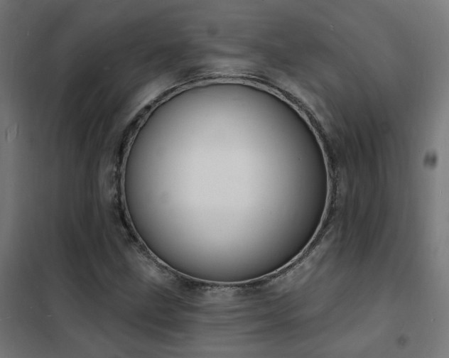 X0000102231211200807251227