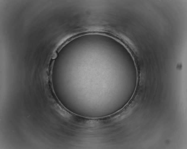 X0000102231212200807251227