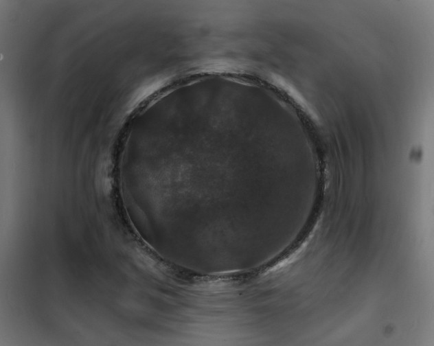 X0000102231213200807251227