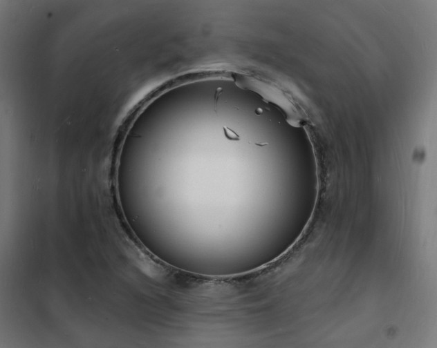 X0000102231216200807251227