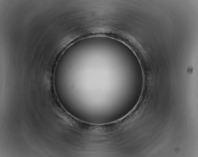 X0000102231217200807251227