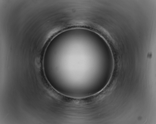 X0000102231218200807251227
