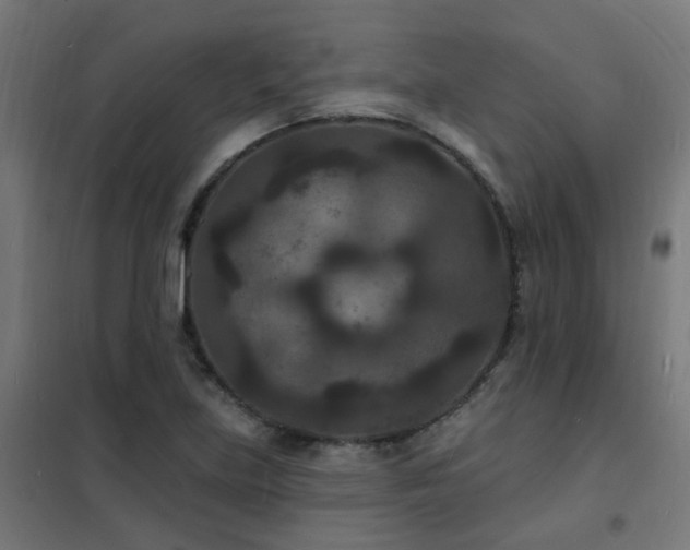 X0000102231219200807251227