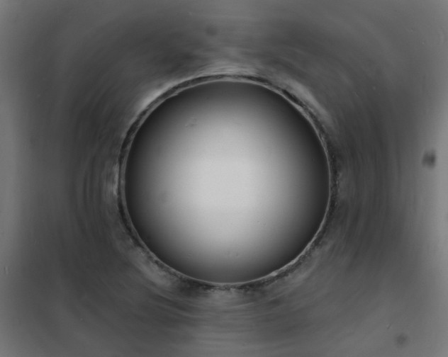 X0000102231220200807251227