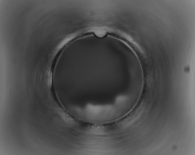 X0000102231221200807251227