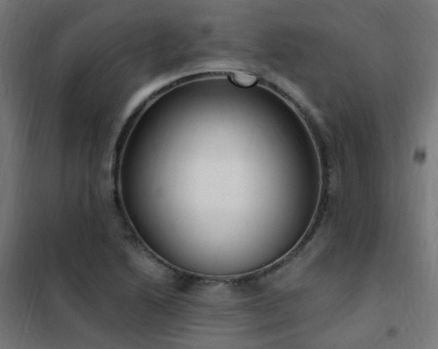 X0000102231222200807251227