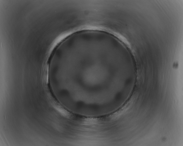 X0000102231223200807251227