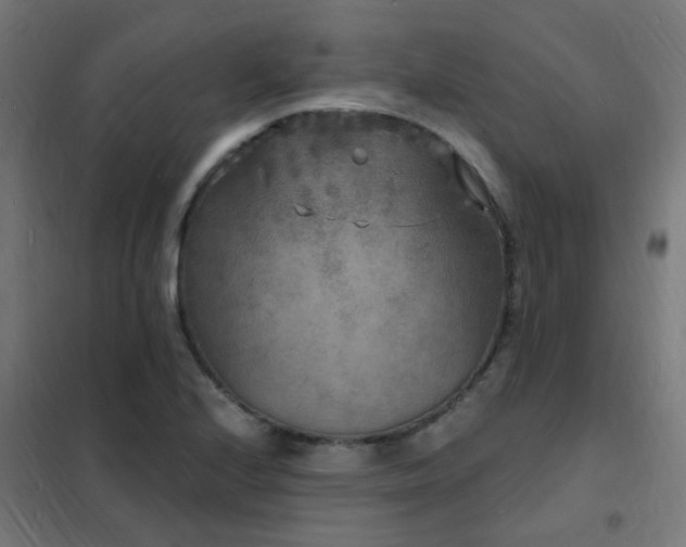 X0000102231224200807251227