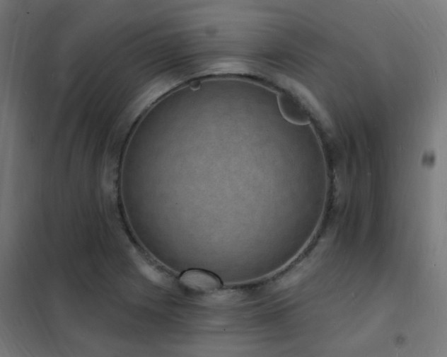 X0000102231225200807251227