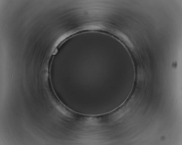 X0000102231226200807251227