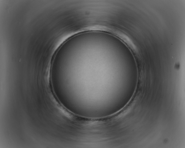 X0000102231228200807251227