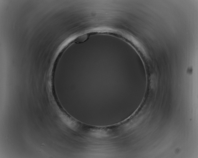 X0000102231229200807251227