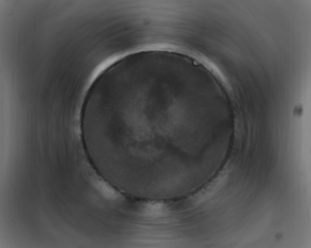 X0000102231230200807251227