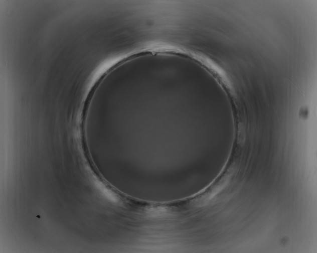 X0000102231231200807251227