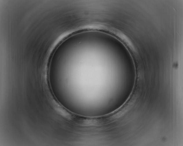 X0000102231232200807251227