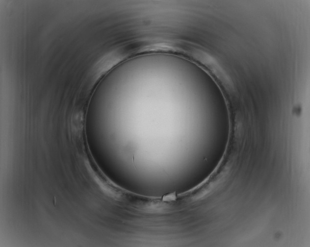 X0000102231233200807251227