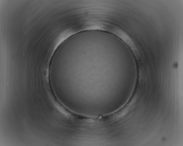 X0000102231234200807251227