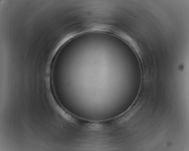 X0000102231235200807251227