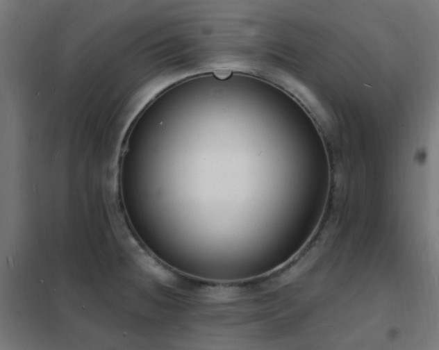 X0000102231236200807251227