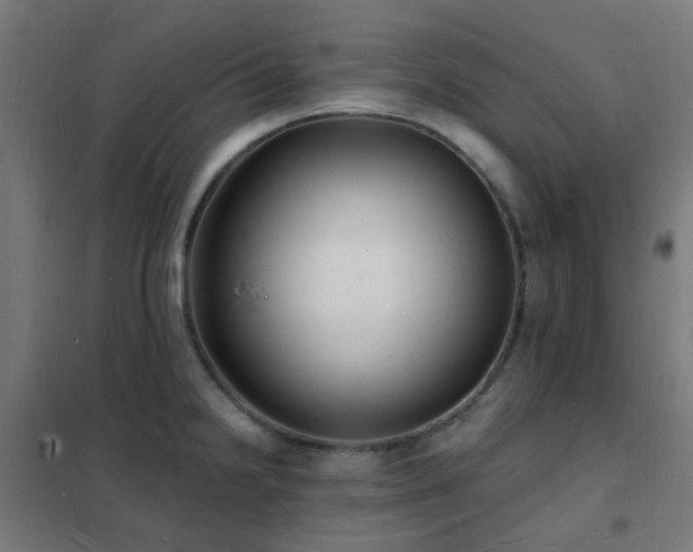 X0000102231238200807251227