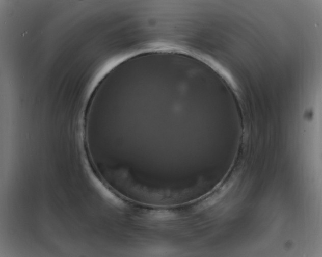 X0000102231239200807251227