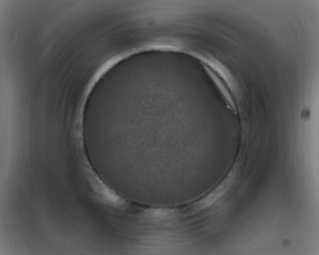 X0000102231240200807251227