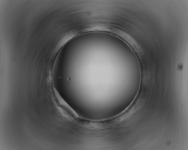 X0000102231241200807251227
