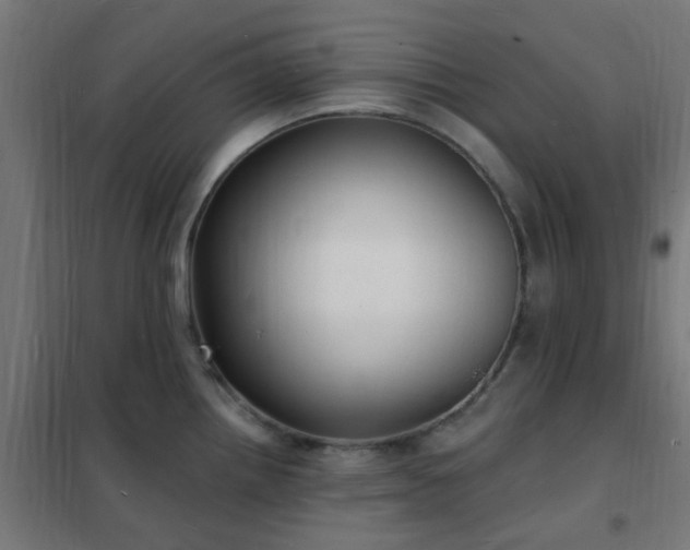 X0000102231242200807251227