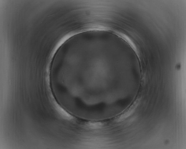X0000102231243200807251227