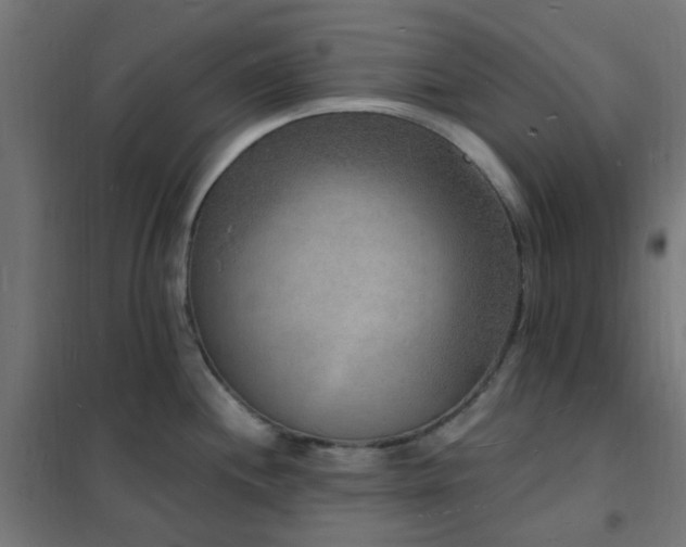 X0000102231244200807251227