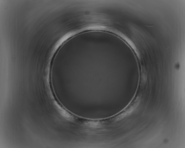 X0000102231245200807251227