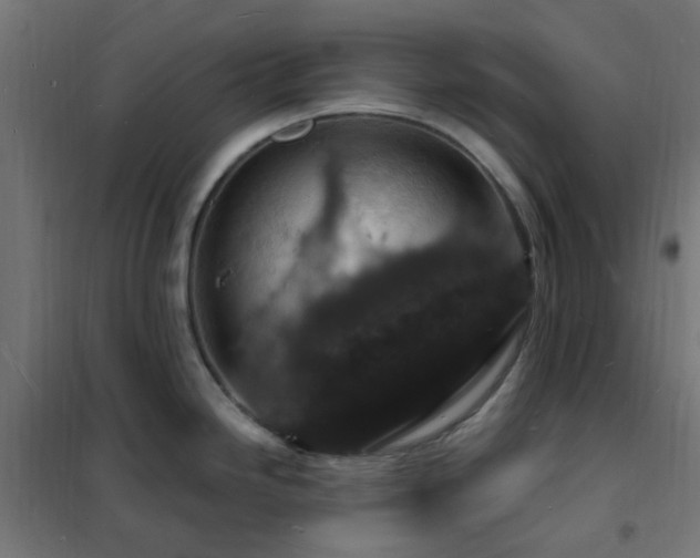 X0000102231246200807251227