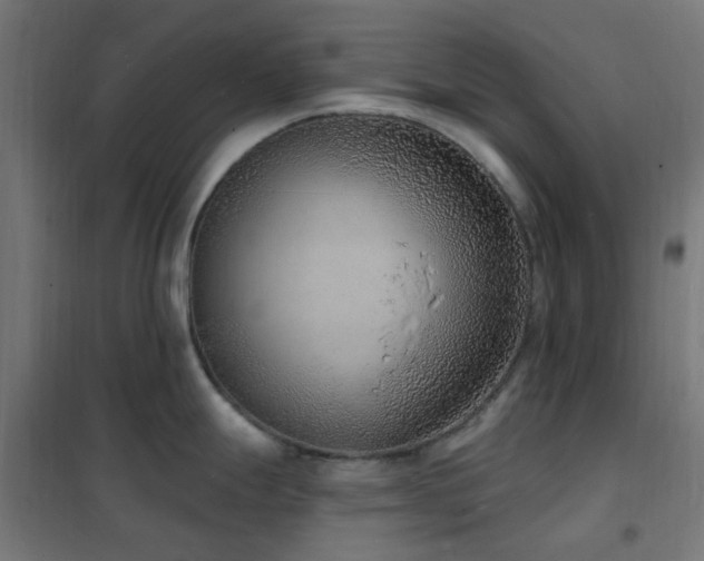 X0000102231247200807251227