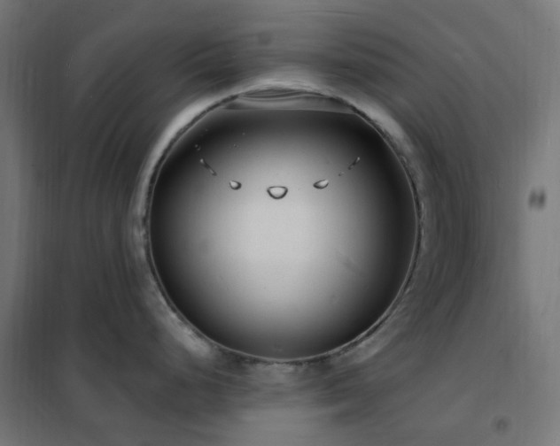 X0000102231248200807251227