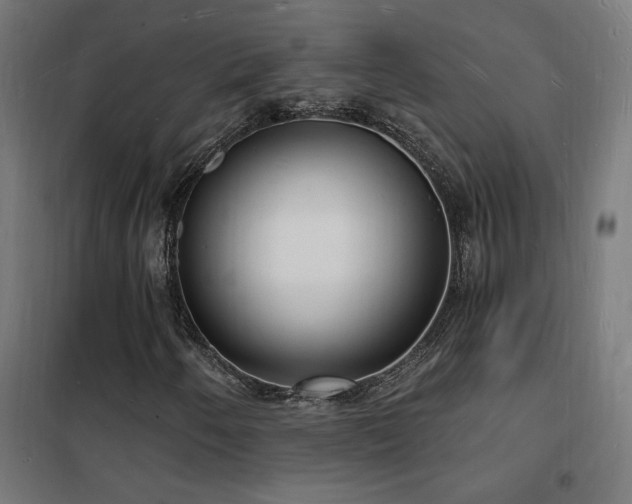 X0000102231250200807251227