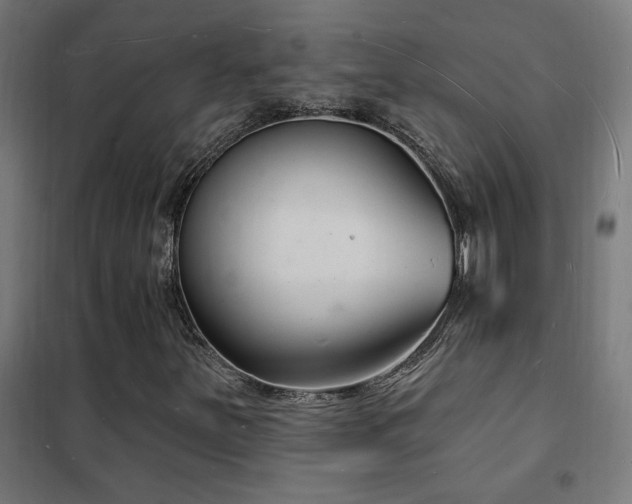 X0000102231251200807251227