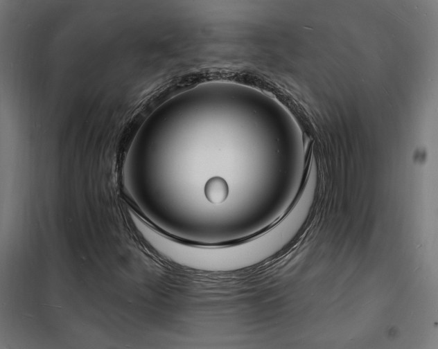 X0000102231252200807251227