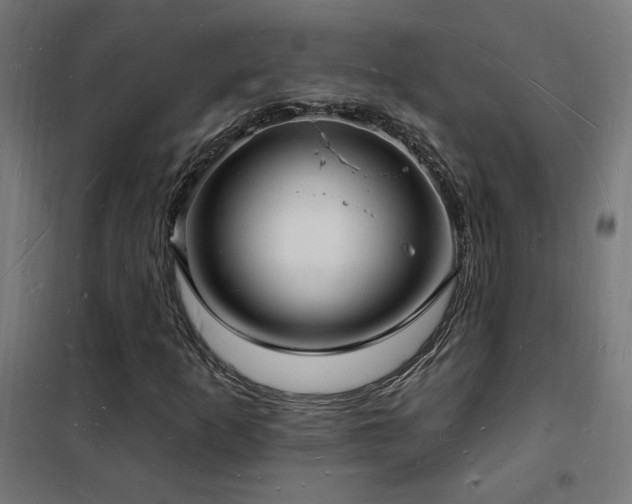 X0000102231253200807251227