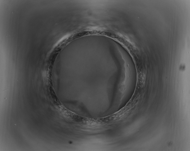 X0000102231254200807251227
