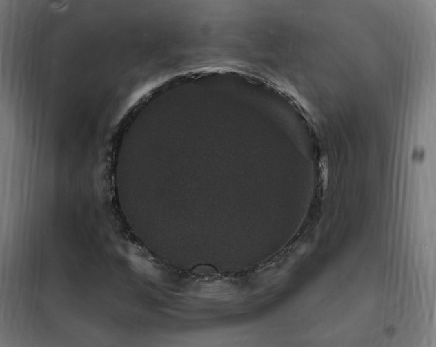 X0000102231256200807251227