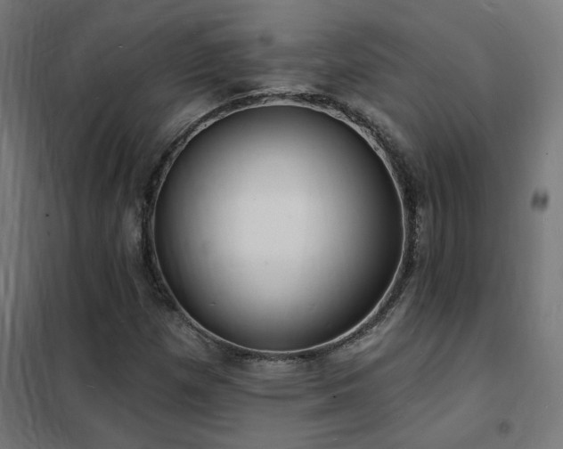 X0000102231257200807251227