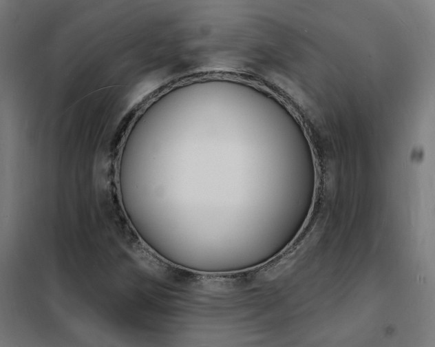 X0000102231258200807251227