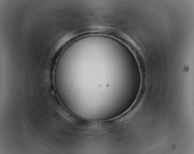 X0000102231259200807251227