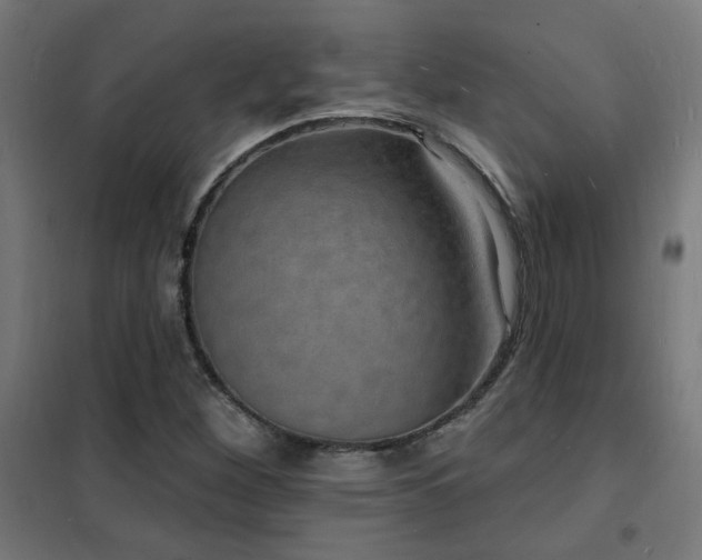 X0000102231260200807251227